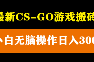 （5760期）最新csgo游戏搬砖游戏，无需挂机小白无脑也能日入300+[中创网]