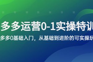 （5747期）拼多多-运营0-1实操训练营，拼多多0基础入门，从基础到进阶的可实操玩法[中创网]