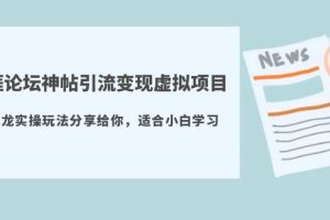 （5784期）天涯论坛神帖引流变现虚拟项目，一条龙实操玩法分享给你（教程+资源）[中创网]