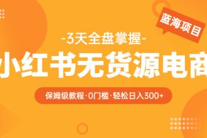 （5912期）2023小红书无货源电商【保姆级教程从0到日入300】爆单3W[中创网]