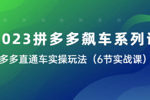 （6030期）2023拼多多飙车系列课，多多直通车实操玩法（6节实战课）[中创网]