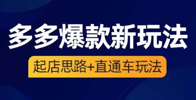 （6028期）2023拼多多爆款·新玩法：起店思路+直通车玩法（3节精华课）