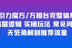 （6015期）引力魔方/万相台完整体系 底层逻辑 实操玩法 常见问题 无死角解剖推荐流量[中创网]