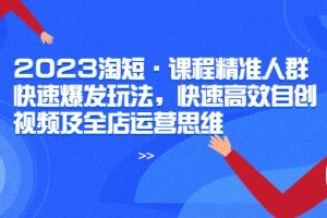 （6045期）2023淘短·课程精准人群快速爆发玩法，快速高效自创视频及全店运营思维[中创网]