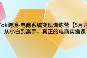 （6058期）TikTok跨境-电商系统变现训练营【5月新课】从小白到高手，真正的电商实操课[中创网]