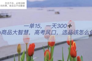 （6077期）一单15，一天300+，小商品大智慧，高考风口，选品该怎么布局[中创网]