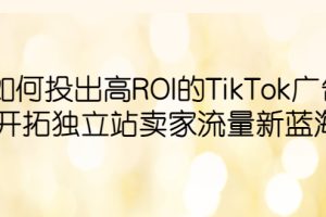 （6102期）如何投出高ROI·TikTok广告，开拓独立站卖家流量新蓝海[中创网]