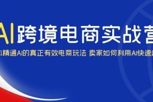 （6101期）AI·跨境电商实操营：0-1精通Al的真正有效电商玩法 卖家如何利用Al快速超车[中创网]