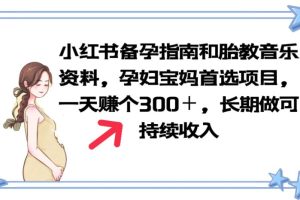 （6114期）小红书备孕指南和胎教音乐资料 孕妇宝妈首选项目 一天赚个300＋长期可做[中创网]