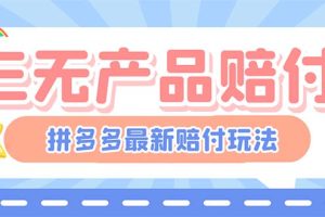 （6224期）最新PDD三无产品赔付玩法，一单利润50-100元【详细玩法揭秘】[中创网]