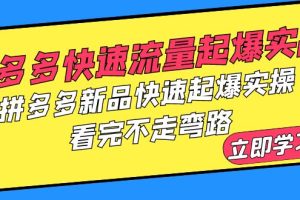 （6253期）拼多多-快速流量起爆实战，拼多多新品快速起爆实操，看完不走弯路[中创网]