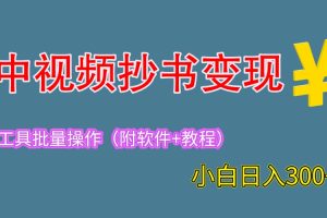 （6246期）2023中视频抄书变现（附工具+教程），一天300+，特别适合新手操作的副业[中创网]