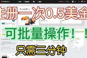 （6285期）国外项目注册一次0.5美金 只需三分钟无脑操作 可批量放大 小白工作室福利[中创网]