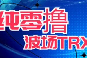 （6265期）最新国外零撸波场项目 类似空投,目前单窗口一天可撸10-15+【详细玩法教程】[中创网]