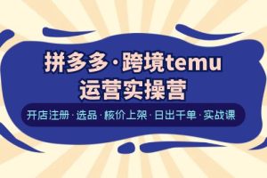 （6319期）拼多多·跨境temu运营实操营：开店注册·选品·核价上架·日出千单·实战课[中创网]