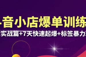 （6348期）抖音小店爆单训练营VIP线下课：6大实战篇+7天快速起爆+标签暴力玩法(32节)[中创网]