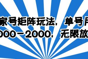 （6345期）百家号矩阵玩法，单号月产1000-2000，无限放大[中创网]