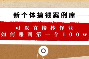 （6363期）新个体 搞钱案例 库，可以直接抄作业 如何赚到第一个100w（29节视频+文档）[中创网]