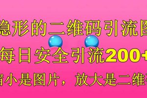 （6407期）隐形的二维码引流图，缩小是图片，放大是二维码，每日安全引流200+[中创网]