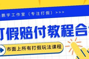 （6425期）2023年全套打假合集，集合市面所有正规打假玩法（非正规打假的没有）[中创网]