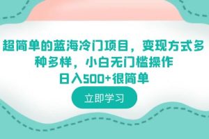 （6422期）超简单的蓝海冷门项目，变现方式多种多样，小白无门槛操作日入500+很简单[中创网]