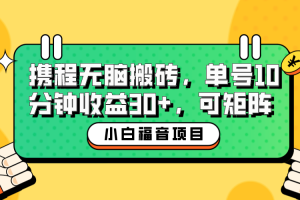 （6450期）小白新手福音：携程无脑搬砖项目，单号操作10分钟收益30+，可矩阵可放大[中创网]