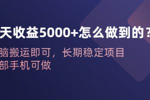 （6435期）一天收益5000+怎么做到的？无脑搬运即可，长期稳定项目，一部手机可做[中创网]