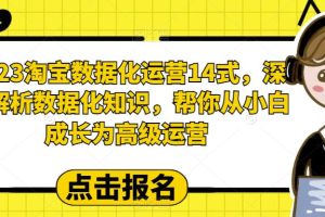 （6475期）2023淘宝数据化-运营 14式，深度解析数据化知识，帮你从小白成长为高级运营[中创网]