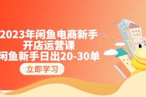 （6470期）2023年闲鱼电商新手开店运营课：闲鱼新手日出20-30单（18节-实战干货）[中创网]