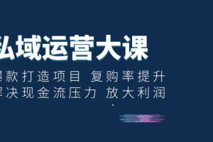 （6455期）私域运营大课：爆款打造项目 复购率提升 解决现金流压力 放大利润[中创网]