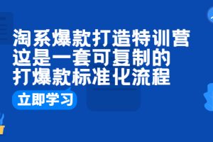 （6478期）淘系爆款打造特训营：这是一套可复制的打爆款标准化流程[中创网]