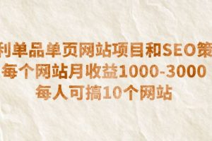 （6503期）暴利单品单页网站项目和SEO策略  每个网站月收益1000-3000  每人可搞10个[中创网]