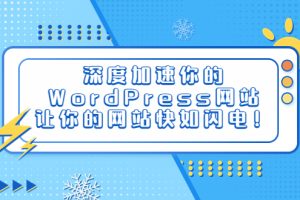 （6502期）深度加速你的WordPress网站，让你的网站快如闪电！[中创网]