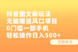 （6527期）抖音图文新玩法，无脑搬运风口项目，0门槛一部手机轻松操作日入500+[中创网]