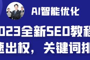 （6554期）2023最新网站AI智能优化SEO教程，简单快速出权重，AI自动写文章+AI绘画配图[中创网]