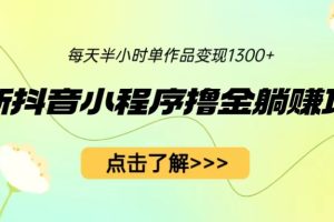 （6613期）最新抖音小程序撸金躺赚项目，一部手机每天半小时，单个作品变现1300+[中创网]