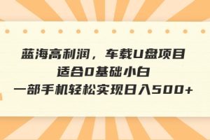 （6600期）蓝海高利润，车载U盘项目，适合0基础小白，一部手机轻松实现日入500+[中创网]