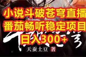 （6584期）小说斗破苍穹直播，番茄畅听日入300+稳定项目[中创网]