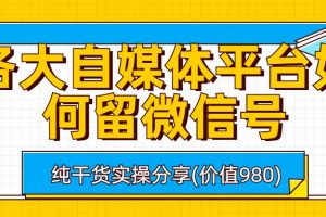 （6642期）各大自媒体平台如何留微信号，详细实操教学[中创网]