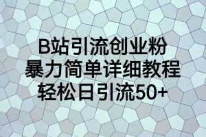 （6639期）B站引流创业粉，暴力简单详细教程，轻松日引流50+[中创网]