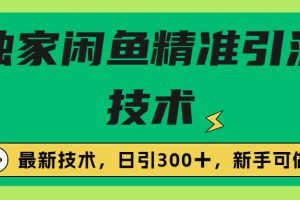 （6635期）独家闲鱼引流技术，日引300＋实战玩法[中创网]