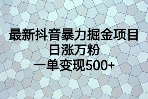 （6642期）最新抖音暴力掘金项目，日涨万粉，一单变现500+[中创网]