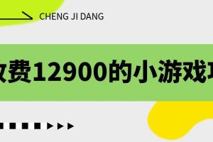 （6657期）收费12900的小游戏项目，单机收益30+，独家养号方法[中创网]