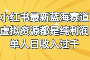 （6721期）外面收费1980的小红书最新蓝海赛道，虚拟资源都是纯利润，单人日收入过千[中创网]