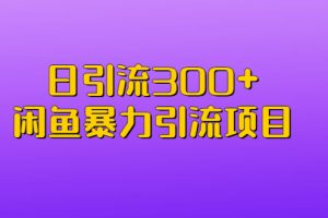 （6694期）日引流300+闲鱼暴力引流项目[中创网]