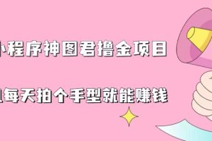 （6733期）抖音小程序神图君撸金项目，用手机每天拍个手型挂载一下小程序就能赚钱[中创网]