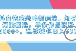 （6758期）抖音情感共鸣新玩法，知乎无脑搬运，单条作品涨粉5000+，私域转化日入500[中创网]