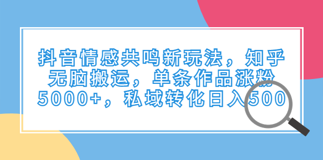 （6758期）抖音情感共鸣新玩法，知乎无脑搬运，单条作品涨粉5000+，私域转化日入500