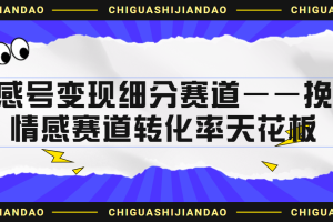 （6752期）情感号变现细分赛道—挽回，情感赛道转化率天花板（附渠道）[中创网]