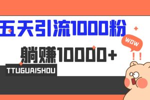 （6745期）5天引流1000+，赚了1w+[中创网]